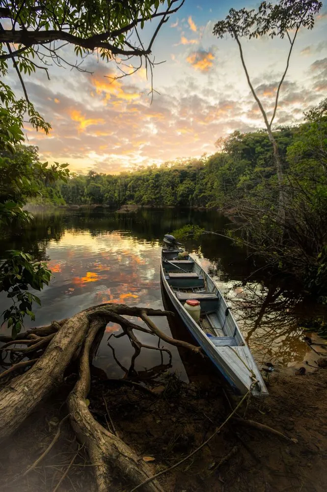 Pirogue sur un fleuve de Guyane